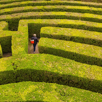 How do hedge funds work in a volatile market